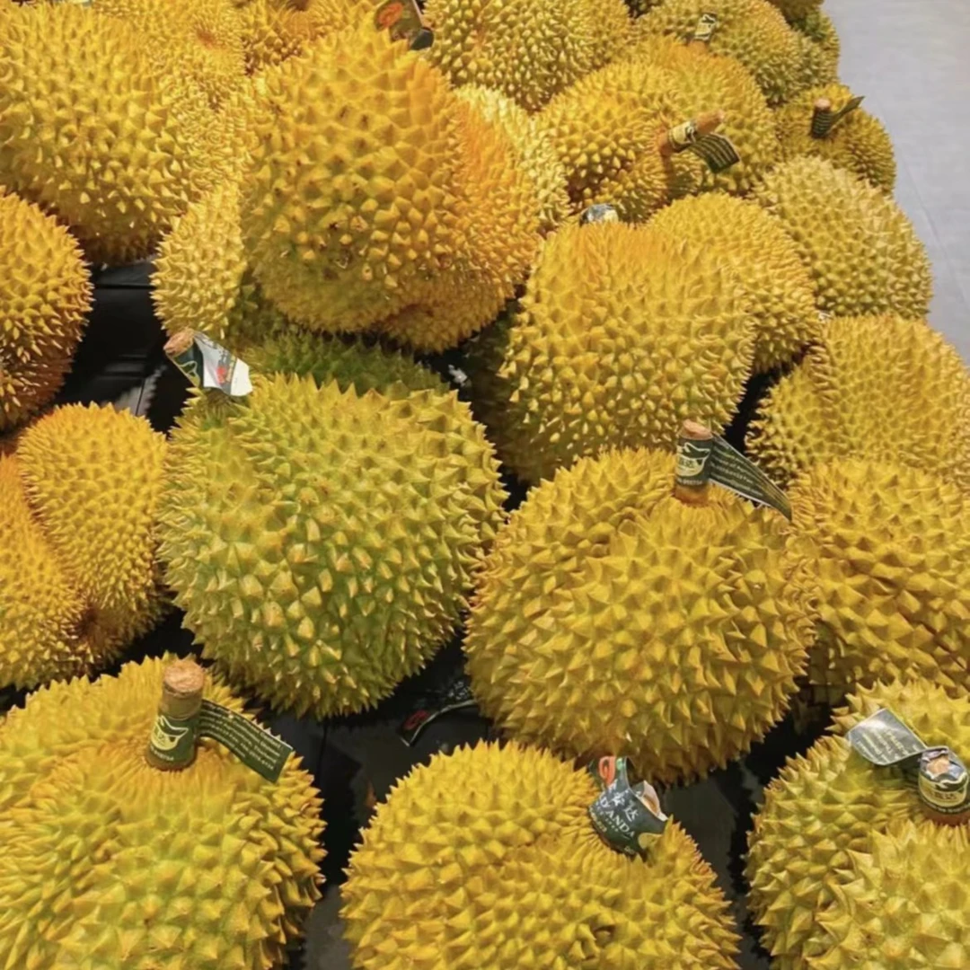（福利果）金枕鲜榴莲鲜（1500-4000g)核小榴莲小时达金枕泰国