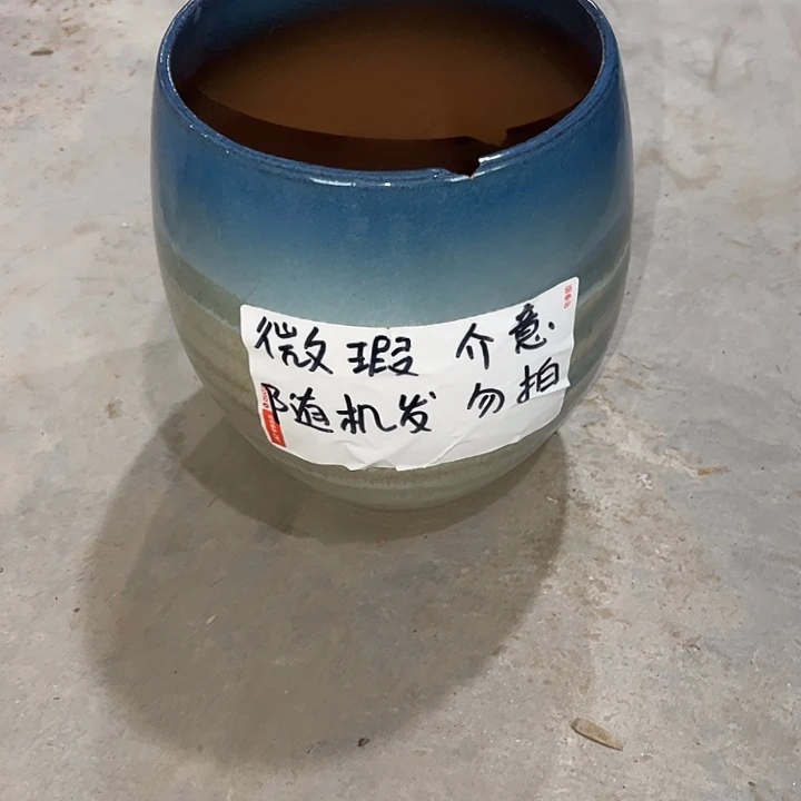 微瑕啦啦啦啦啦啦花盆