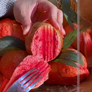 【芭乐种子】番石榴种子砖木头珍珠芭乐庭院可嫁接蔬果种子