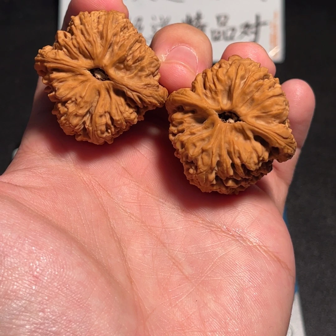 惜***常38全家福全品涿鹿一代南将