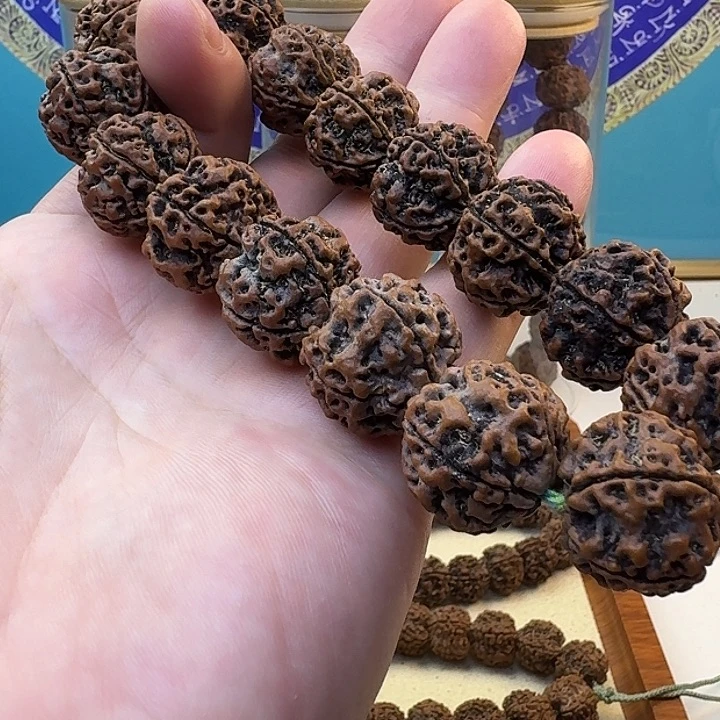 金刚菩提手串双龙老籽