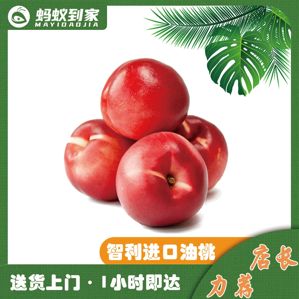 澳大利亚进口油桃  净含量约1.5斤