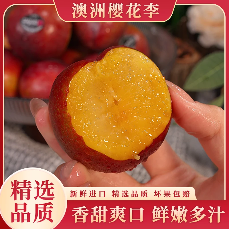 【京东】澳洲樱花李新鲜进口水果黄肉李子应季甜嫩多汁精选2斤起