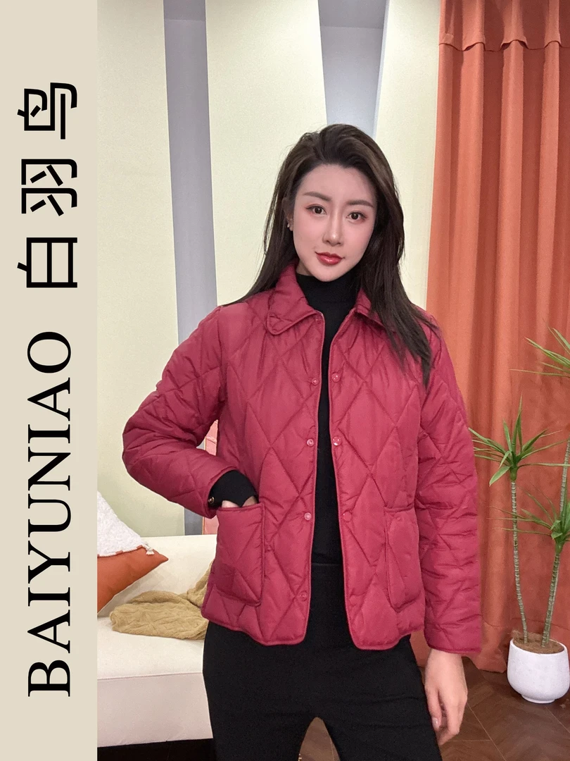 轻薄新款秋冬整张棉女式棉衣小个子休闲百搭外套短款棉衣