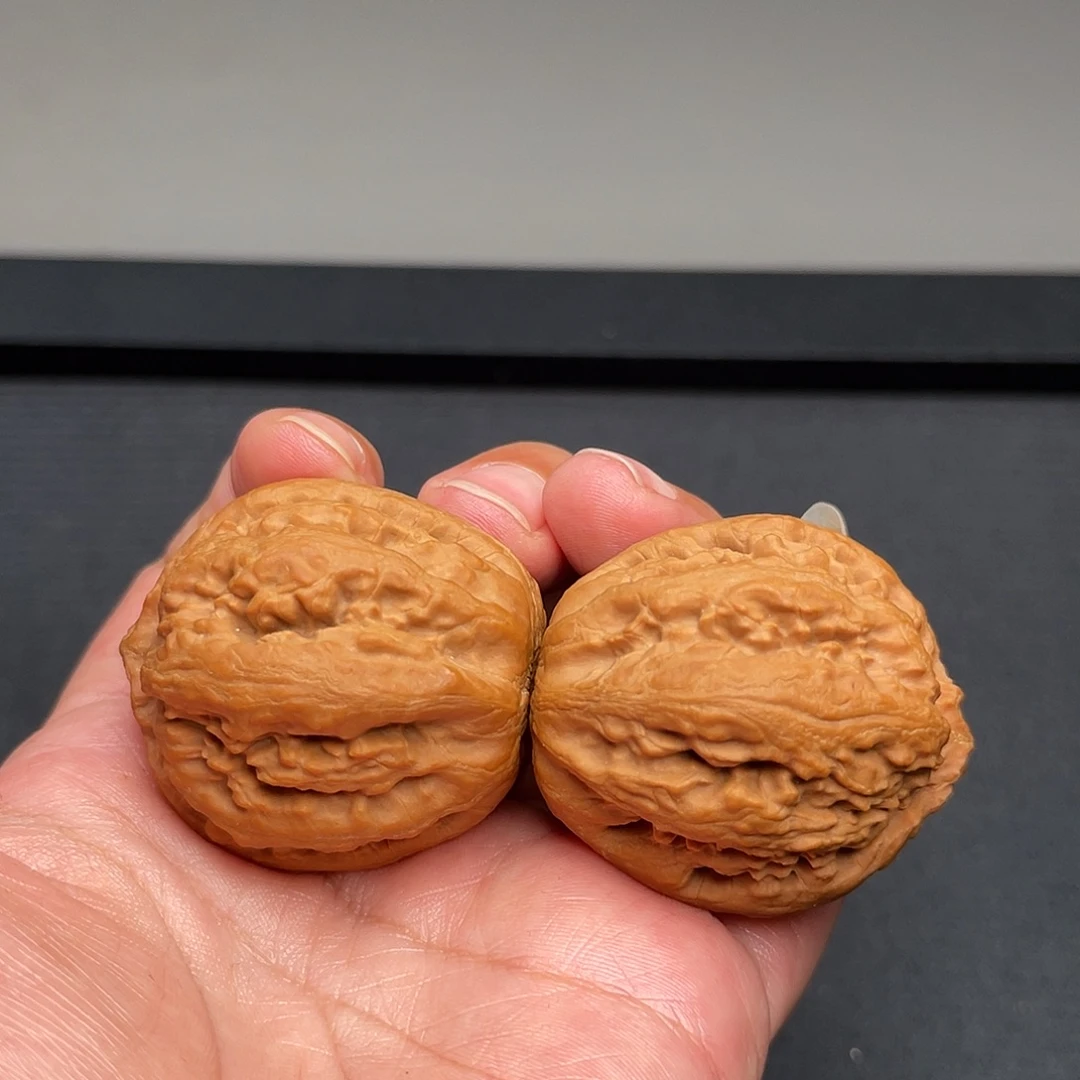 把件猴头核桃38×40全品白茬霸王龙XM1029