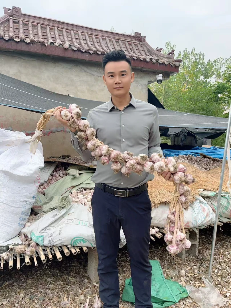 北上广深2025年邳州新蒜头农家大蒜头土大蒜紫白皮大蒜净蒜