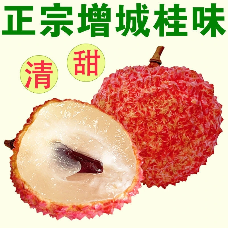 【广东省内拍】增城桂味荔枝新鲜现摘现发当季特大水果顺丰包邮