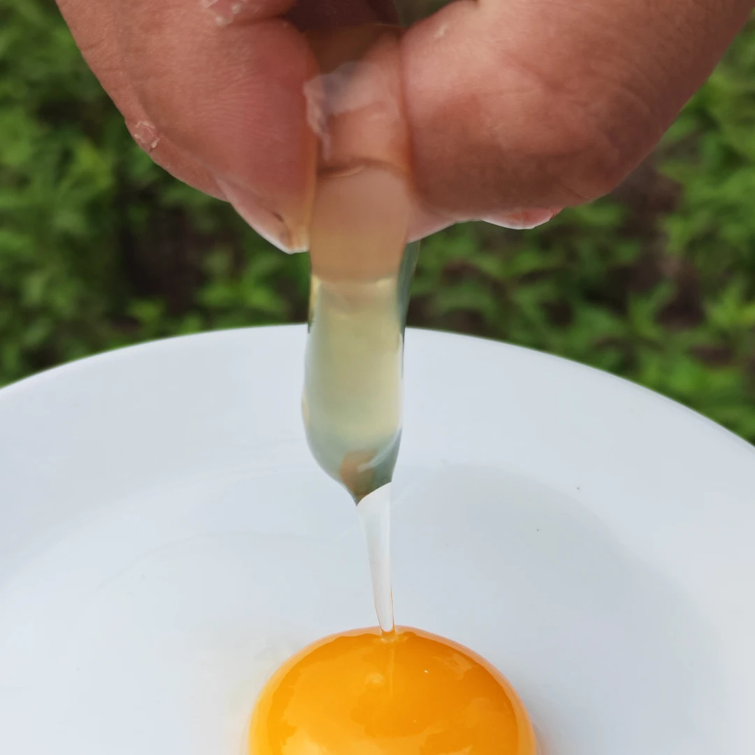 正宗农家散养五谷杂粮土鸡蛋现捡现发营养月子鸡蛋走地鸡蛋柴鸡蛋