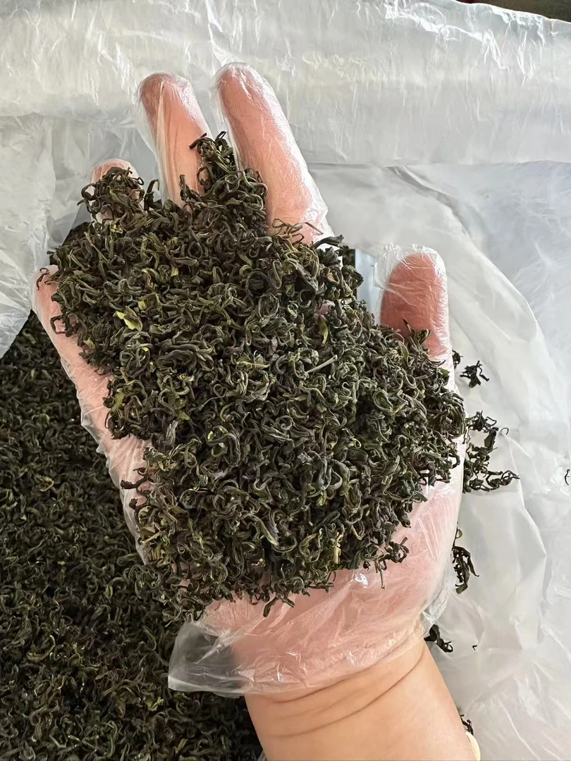 2025年日照绿茶露天春茶一芽一叶2