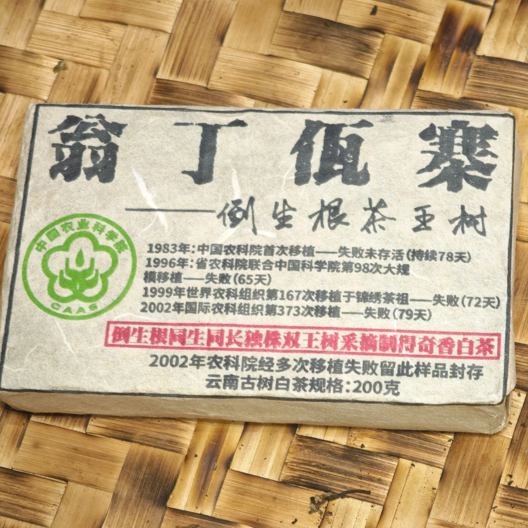 普洱茶  翁丁佤寨  6月17日（166号）   白茶砖