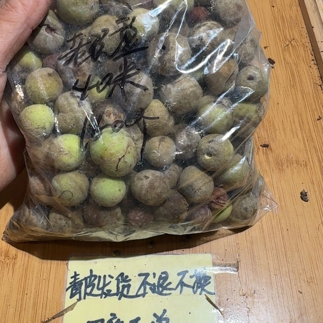 老***3桃核手串桃核散子