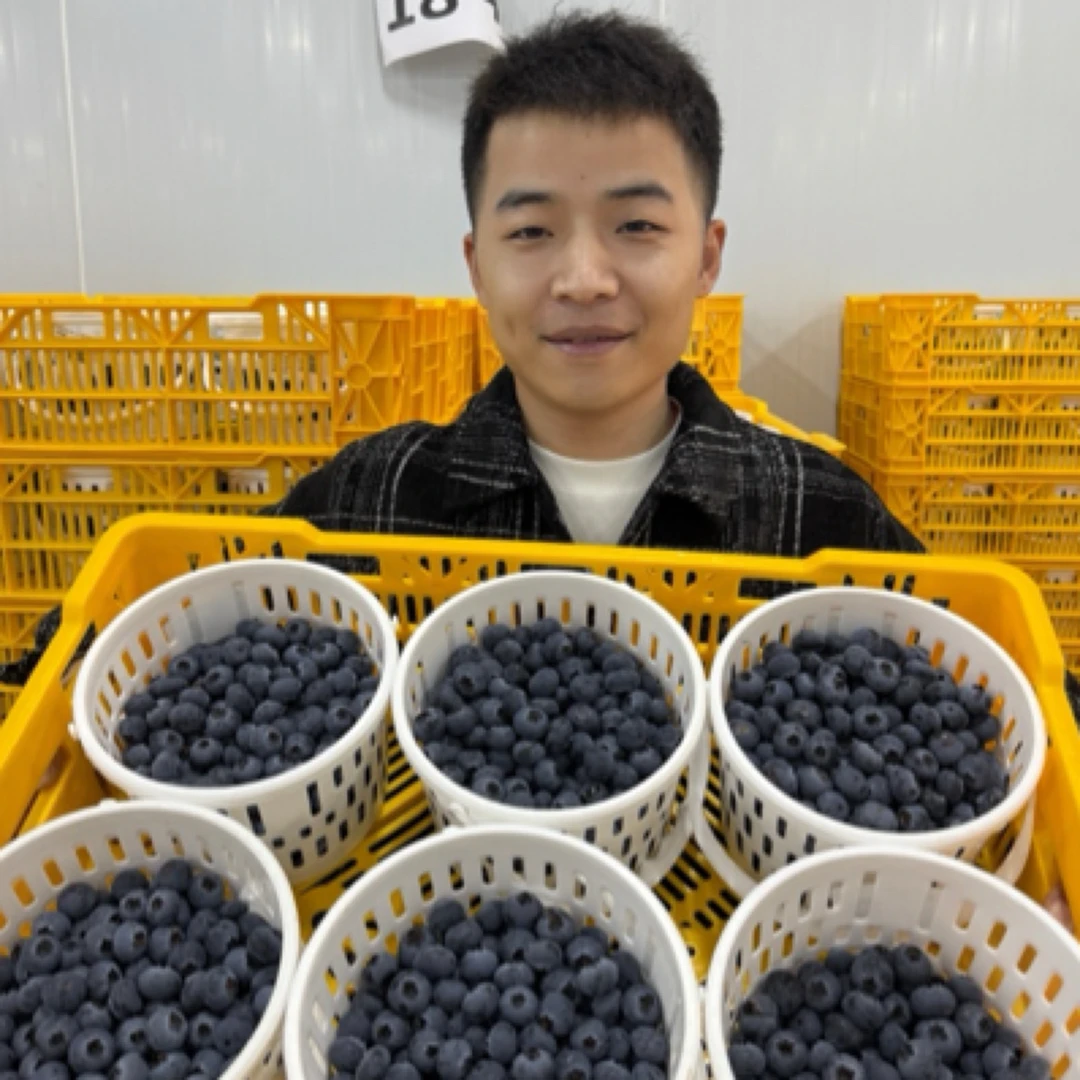 云南25号花香甜蓝莓 桶装 净重1200克以上