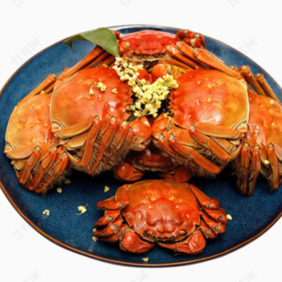 【活蟹】大闸蟹 公蟹一只3.0-3.3两【短腿】