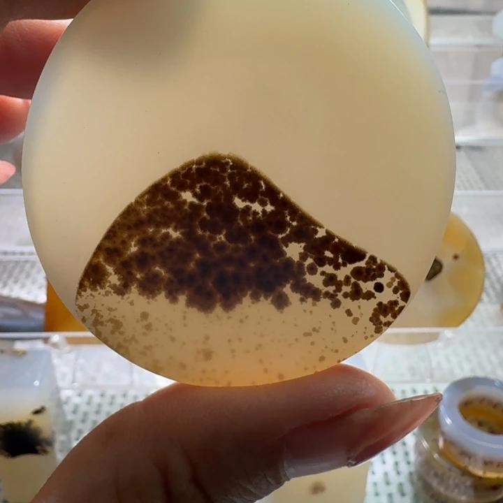 玛瑙/玉髓未镶嵌项链