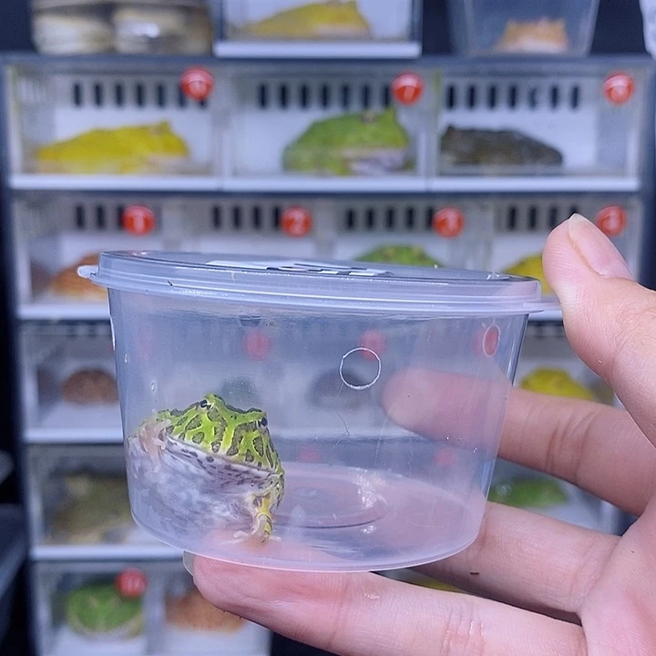 特价清仓处理现货