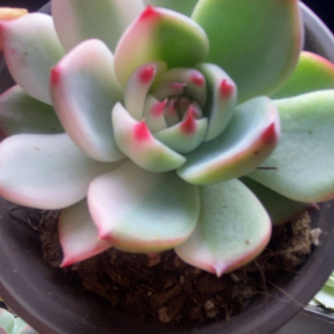 628啦啦啦啦啦啦啦啦