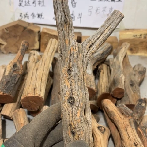 大果紫檀（缅甸花梨）呼***谎