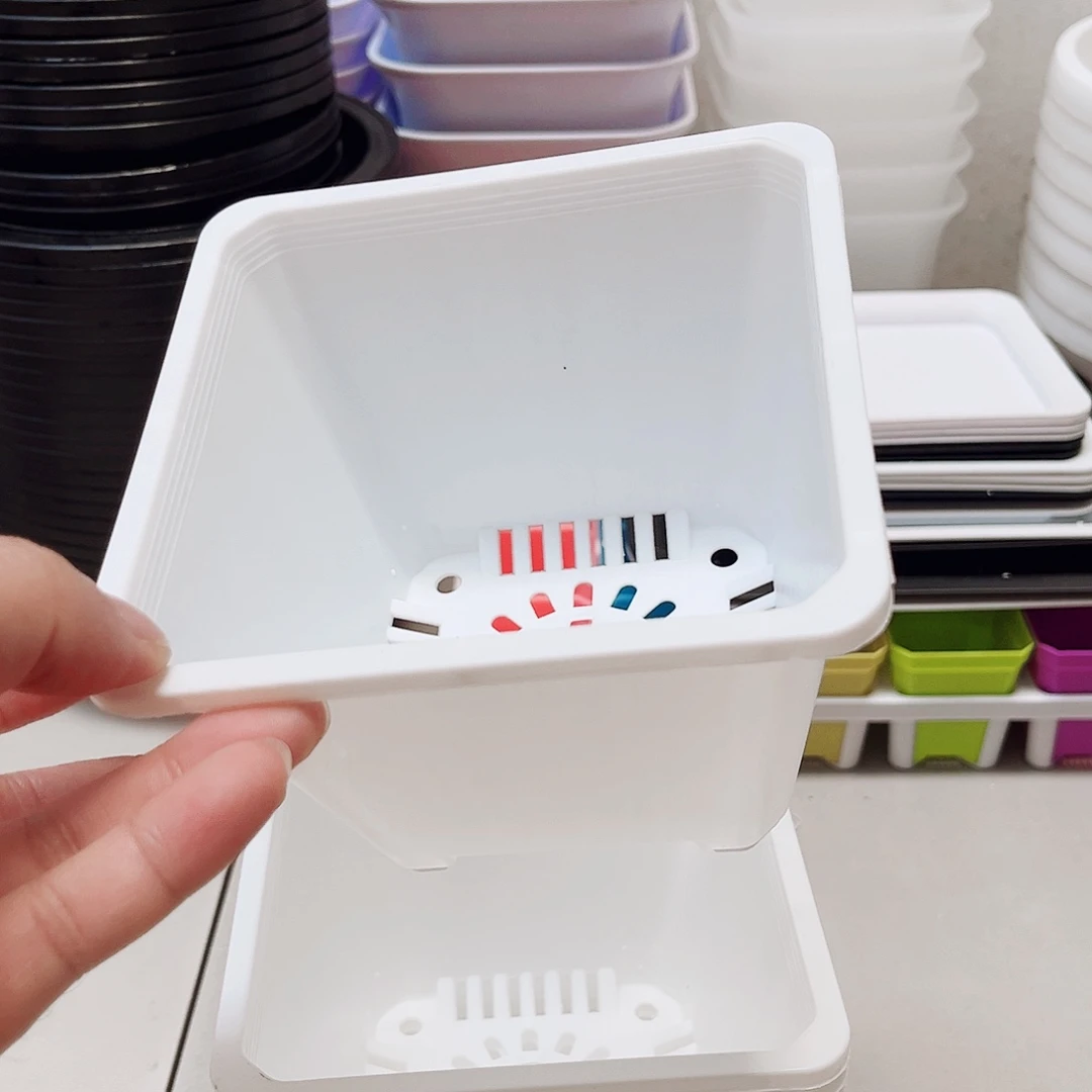 口13高10白盆15个无托