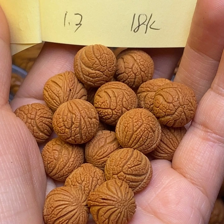 桃核吊坠秦岭龙纹桃核13尺寸