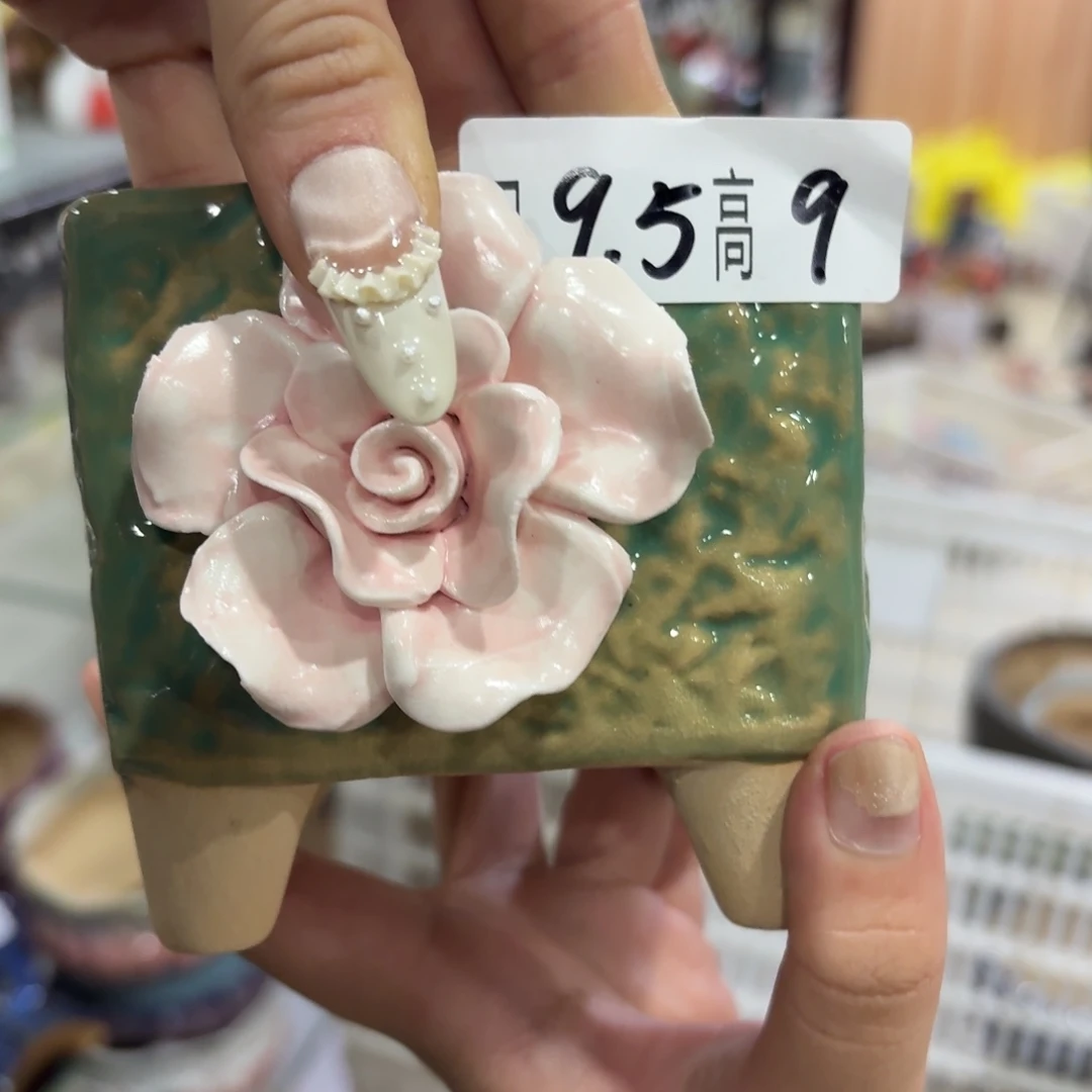 本场直播满百送一个盆