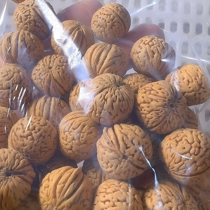 *****吊坠桃核原皮原色南瓜散籽