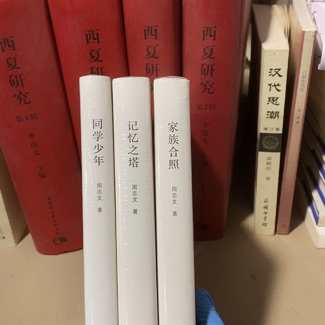 记忆三书……