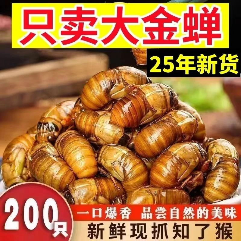 2025新鲜金蝉知了猴速冻现抓爬又猴蝉蛹顺丰包邮QX