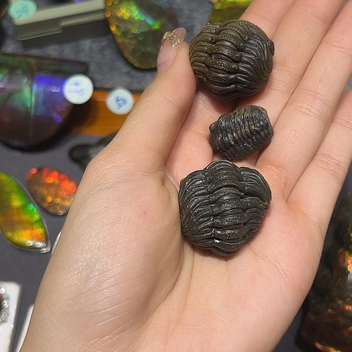 新***鱼精品系列产品摆件13579