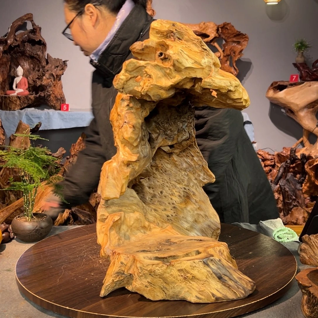 合***合香杉木617aaaaaaaaaaa