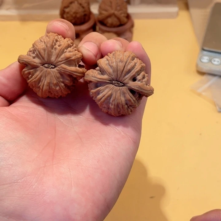 文玩核桃把件王*人白狮子