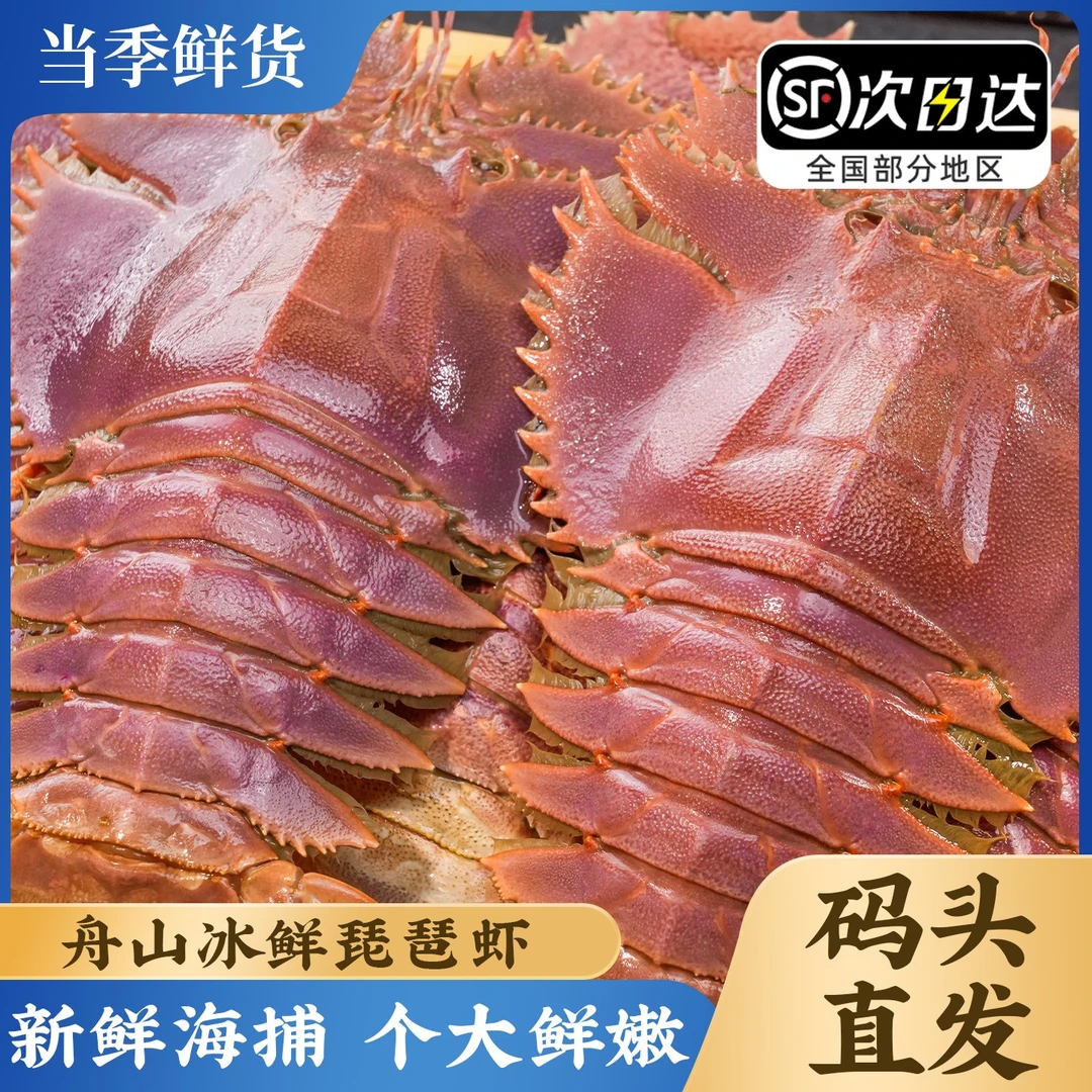 【达人】舟山琵琶虾船冻九齿扇虾海鲜虾姑濑尿虾生鲜深海冷冻爬虾
