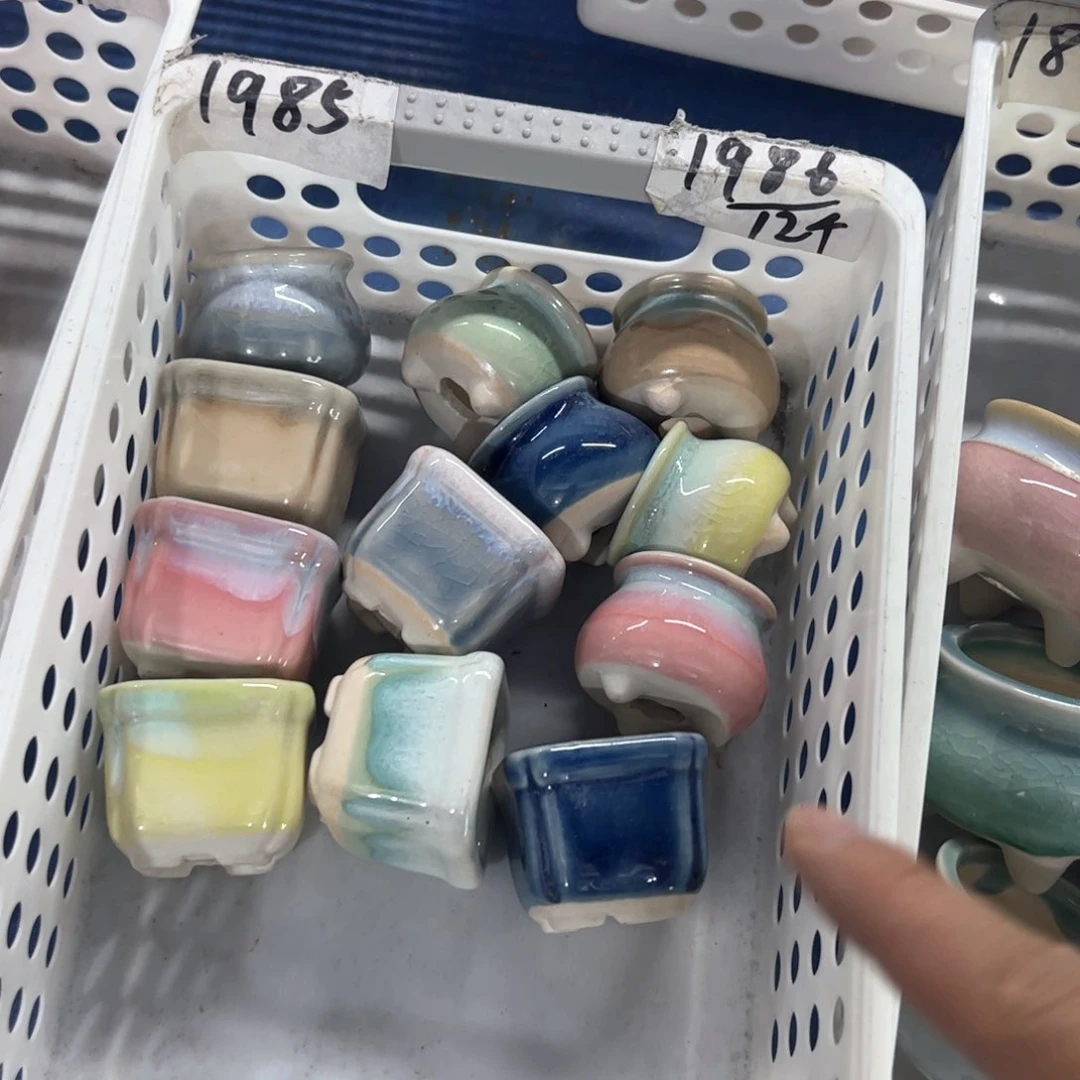 陶瓷多肉小花盆@@1986