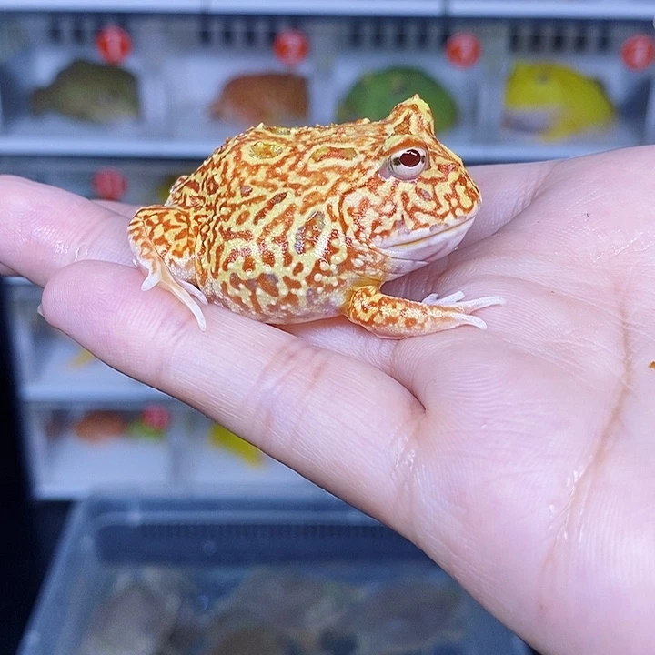 特价促销特价秒杀