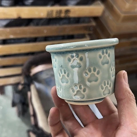 ····全是福利····