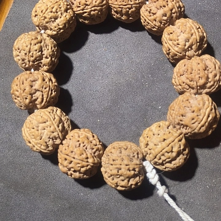 25尺寸原皮原色梅花双龙大金刚菩提手串