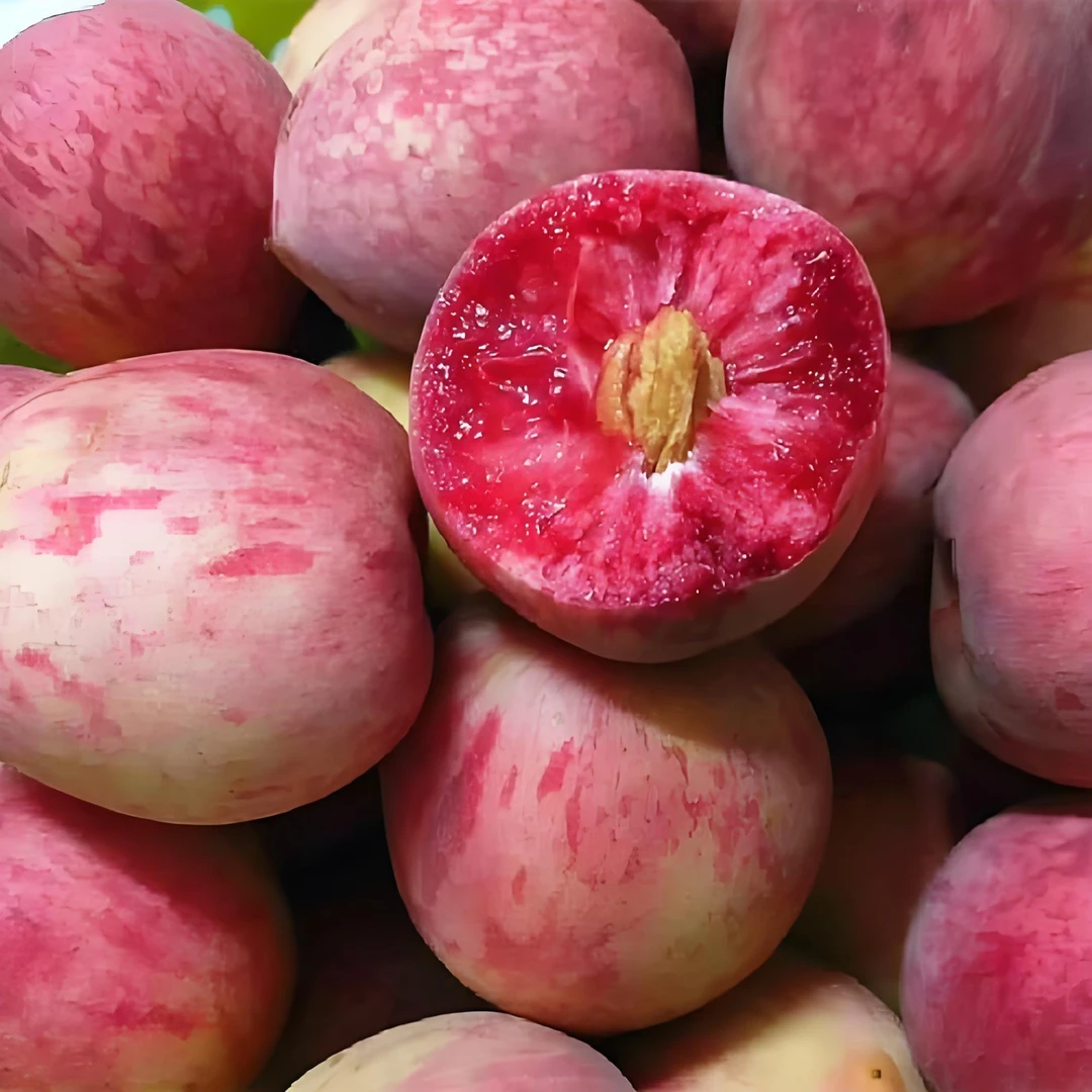 光山马畈瑞全农场观五枚鲜桃 现摘现发美味多汁软糯香甜京东包邮