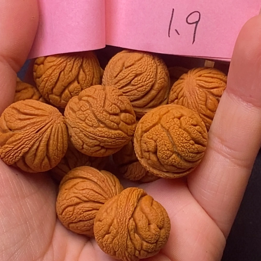 秦岭龙纹桃核14颗