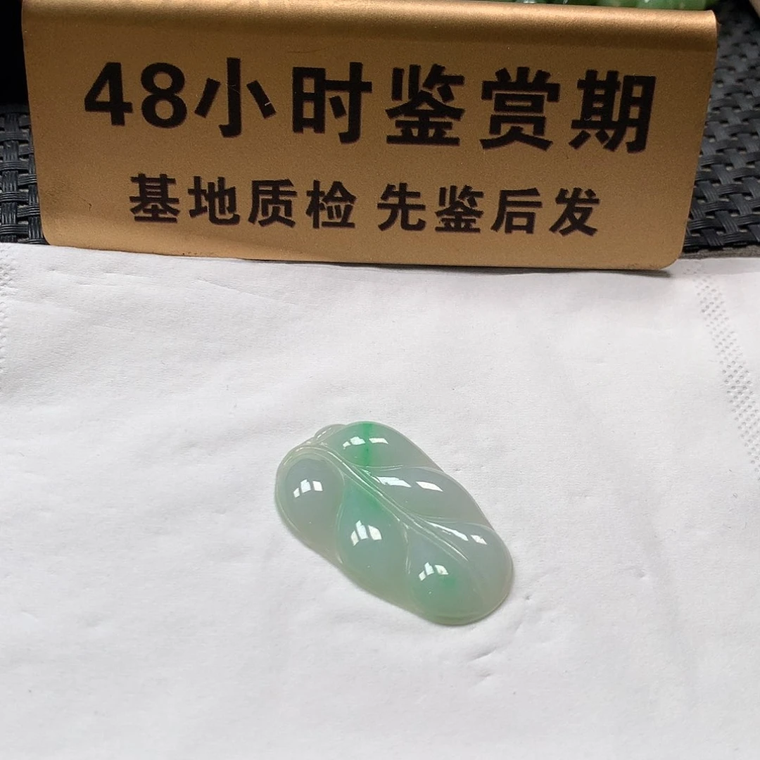 颈饰未镶嵌翡翠叶子