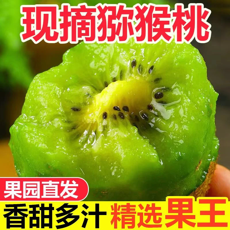 正宗湖南湘西绿心猕猴桃现摘现发新鲜奇异果应季水果