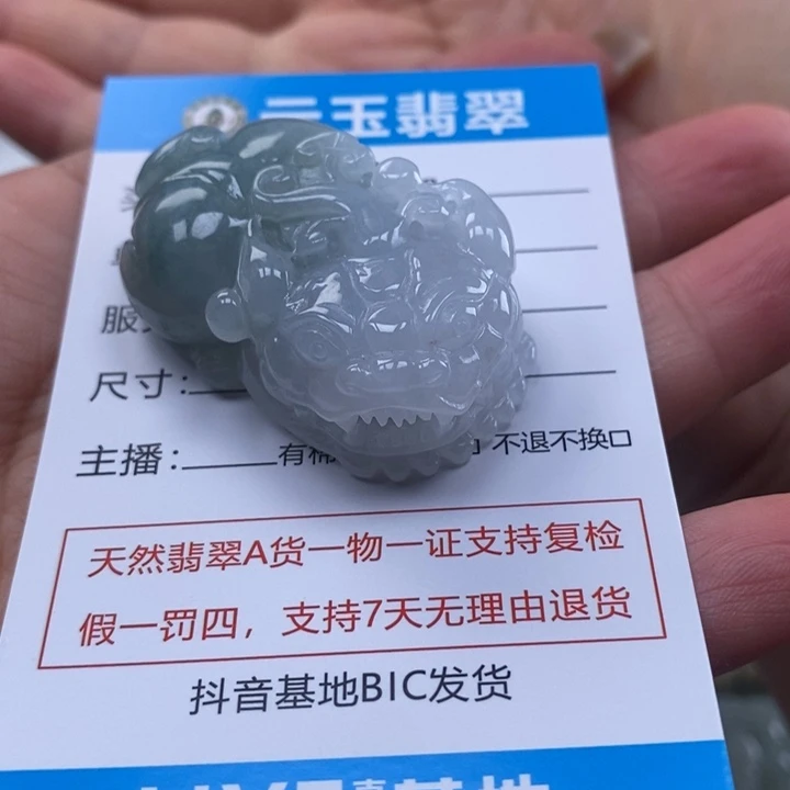 翡翠未镶嵌颈饰多人貔貅
