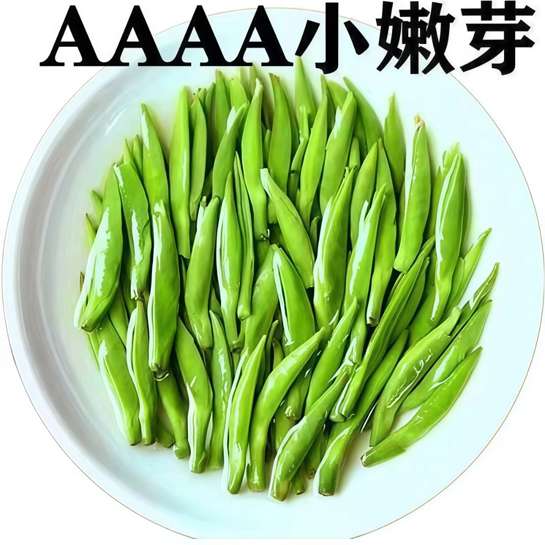 特级雀舌绿茶叶2025新茶正宗湄潭毛尖翠芽春茶浓香型明前茶叶礼盒