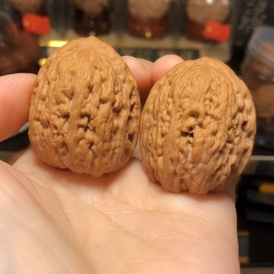 原生态：滚石全品
