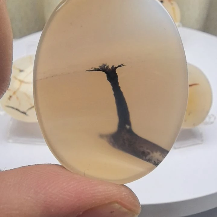 非金属时尚饰品16