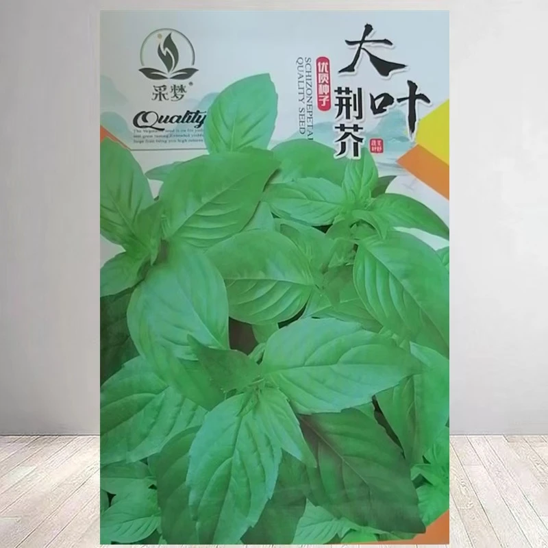 【满5包邮】荆芥种子大叶种孑春秋菜籽种大全四季苋菜汉菜种籽