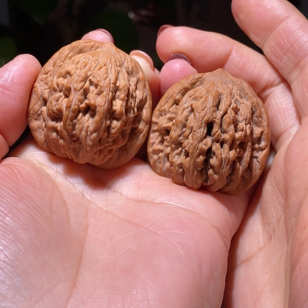 文玩核桃把件麦穗39.9