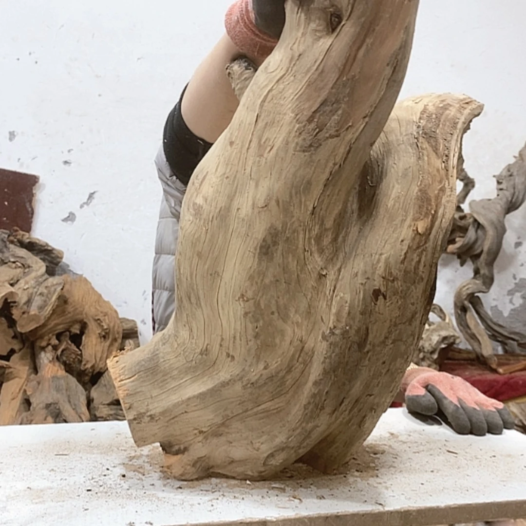 【闪购商品】柏木锦*阁我们都是好孩子