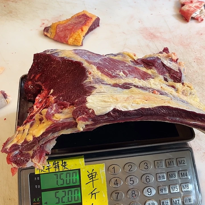 活***V18中国大陆许好看了