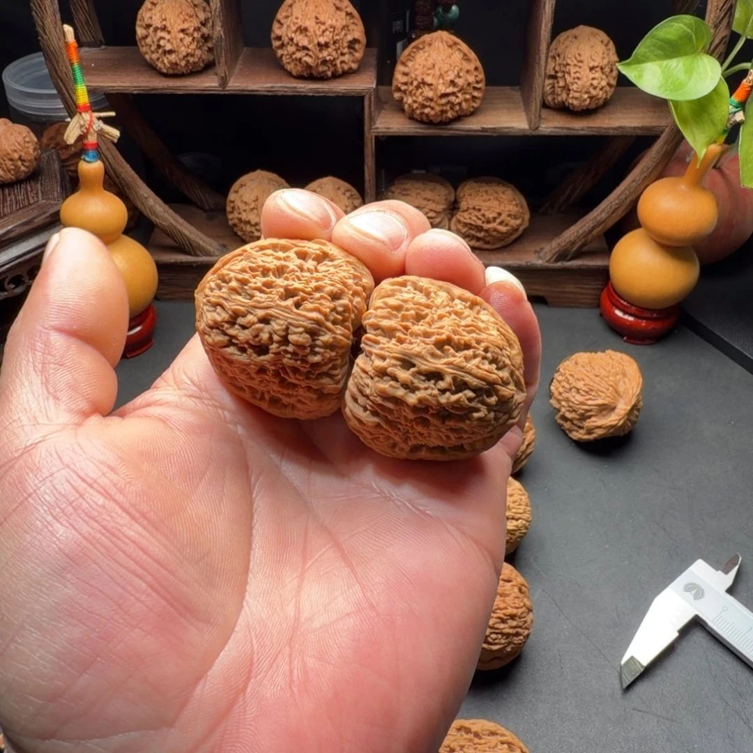 把件文玩核桃南疆石蚂蚁拉丝尺寸38