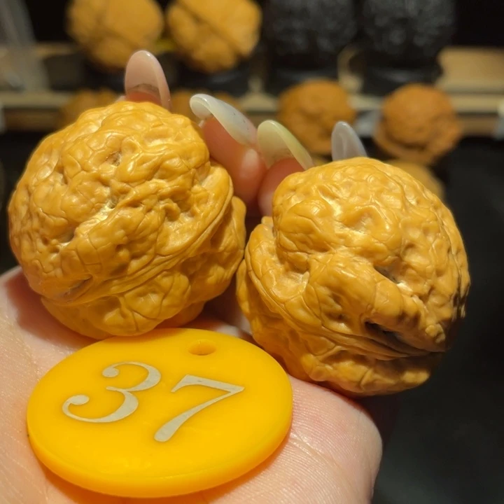 盘龙十八包36尺寸核桃