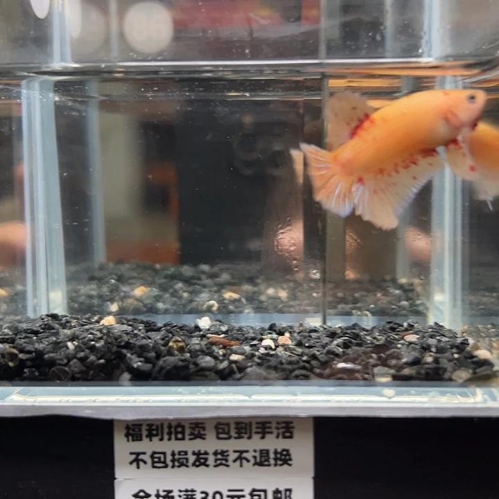 斗鱼满30包邮11日86